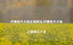 柠檬鱼片火锅正确做法,柠檬鱼片火锅正确做法大全