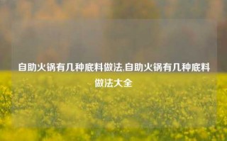 自助火锅有几种底料做法,自助火锅有几种底料做法大全