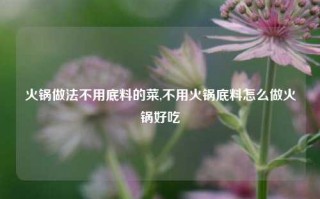 火锅做法不用底料的菜,不用火锅底料怎么做火锅好吃