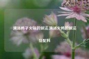 清汤鸭子火锅的做法,清汤火鸭的做法及配料