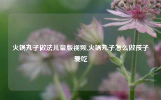 火锅丸子做法儿童版视频,火锅丸子怎么做孩子爱吃