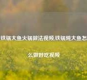 铁锅大鱼火锅做法视频,铁锅炖大鱼怎么做好吃视频