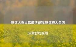 铁锅大鱼火锅做法视频,铁锅炖大鱼怎么做好吃视频