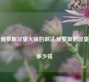 俄罗斯汉堡火锅的做法,俄罗斯的汉堡多少钱