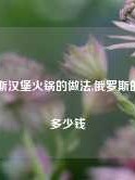 俄罗斯汉堡火锅的做法,俄罗斯的汉堡多少钱