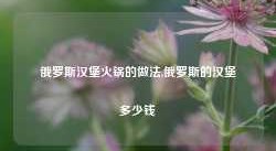 俄罗斯汉堡火锅的做法,俄罗斯的汉堡多少钱