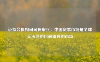 证监会机构司司长申兵：中国资本市场是全球无法忽略且最重要的市场