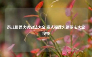 泰式榴莲火锅做法大全,泰式榴莲火锅做法大全视频