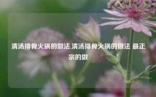 清汤排骨火锅的做法,清汤排骨火锅的做法 最正宗的做