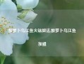 酸萝卜乌江鱼火锅做法,酸罗卜乌江鱼加盟