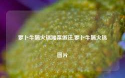 萝卜牛腩火锅湘菜做法,萝卜牛腩火锅图片