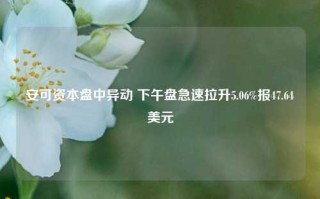 安可资本盘中异动 下午盘急速拉升5.06%报47.64美元