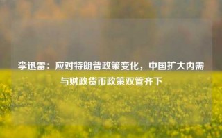 李迅雷：应对特朗普政策变化，中国扩大内需与财政货币政策双管齐下