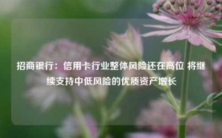 招商银行：信用卡行业整体风险还在高位 将继续支持中低风险的优质资产增长