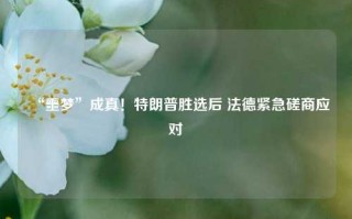 “噩梦”成真！特朗普胜选后 法德紧急磋商应对