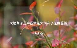 火锅丸子芝麻酱做法火锅丸子芝麻酱做法大全