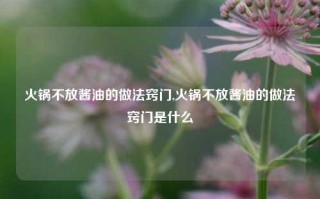 火锅不放酱油的做法窍门,火锅不放酱油的做法窍门是什么