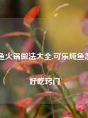 可乐鱼火锅做法大全,可乐炖鱼怎么做好吃窍门