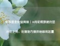 中加基金权益周报︱10月宏观数据仍显分化之势，化债地方债供给即将起量