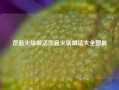 茨菇火锅做法茨菇火锅做法大全图解