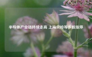 半导体产业链持续走高 上海贝岭等多股涨停