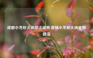 成都小龙虾火锅做法视频,香辣小龙虾火锅底料做法