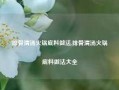 排骨清汤火锅底料做法,排骨清汤火锅底料做法大全