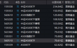 A500ETF上市满月，泰康A500ETF（560510）规模多数时间同类垫底，最新规模70.61亿元排名倒数第二