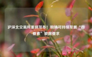 沪深北交易所重磅发布！明确可持续发展“四要素”披露要求