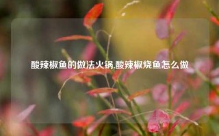 酸辣椒鱼的做法火锅,酸辣椒烧鱼怎么做