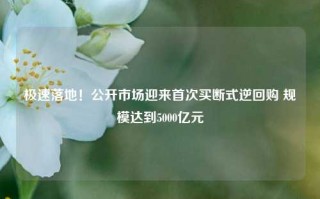 极速落地！公开市场迎来首次买断式逆回购 规模达到5000亿元