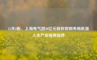 11天8板，上海电气因30亿元股权收购布局机器人全产业链再涨停