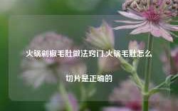 火锅剁椒毛肚做法窍门,火锅毛肚怎么切片是正确的