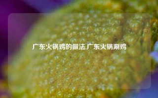 广东火锅鸡的做法,广东火锅涮鸡