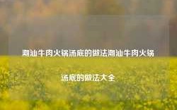 潮汕牛肉火锅汤底的做法潮汕牛肉火锅汤底的做法大全