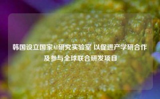 韩国设立国家AI研究实验室 以促进产学研合作及参与全球联合研发项目