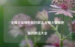 无锡火锅辣肥肠的做法,无锡火锅辣肥肠的做法大全