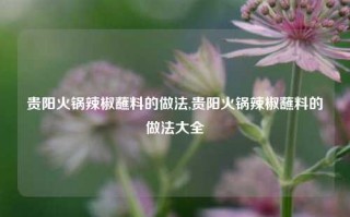 贵阳火锅辣椒蘸料的做法,贵阳火锅辣椒蘸料的做法大全