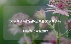 火锅丸子海鲜菇做法大全,火锅丸子海鲜菇做法大全图片