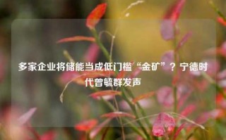 多家企业将储能当成低门槛“金矿”？宁德时代曾毓群发声