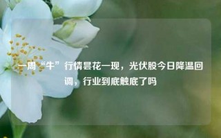 一周“牛”行情昙花一现，光伏股今日降温回调，行业到底触底了吗