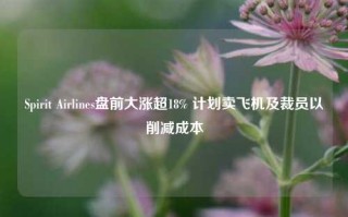 Spirit Airlines盘前大涨超18% 计划卖飞机及裁员以削减成本