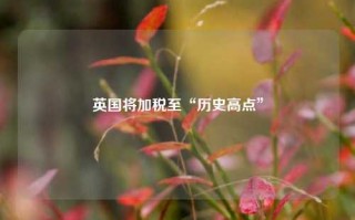 英国将加税至“历史高点”