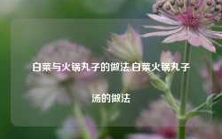 白菜与火锅丸子的做法,白菜火锅丸子汤的做法