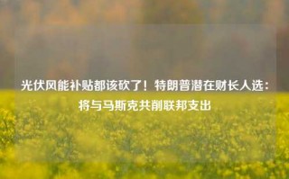 光伏风能补贴都该砍了！特朗普潜在财长人选：将与马斯克共削联邦支出