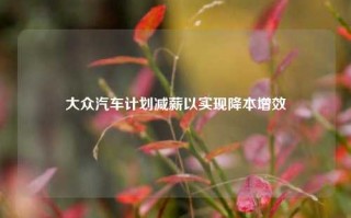 大众汽车计划减薪以实现降本增效