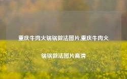 重庆牛肉火锅锅做法图片,重庆牛肉火锅锅做法图片高清