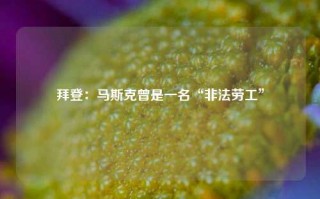 拜登：马斯克曾是一名“非法劳工”