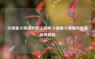 火锅鱼火烧馍的做法视频,火锅鱼火烧馍的做法视频教程