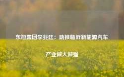 东旭集团李兆廷：助推临沂新能源汽车产业做大做强